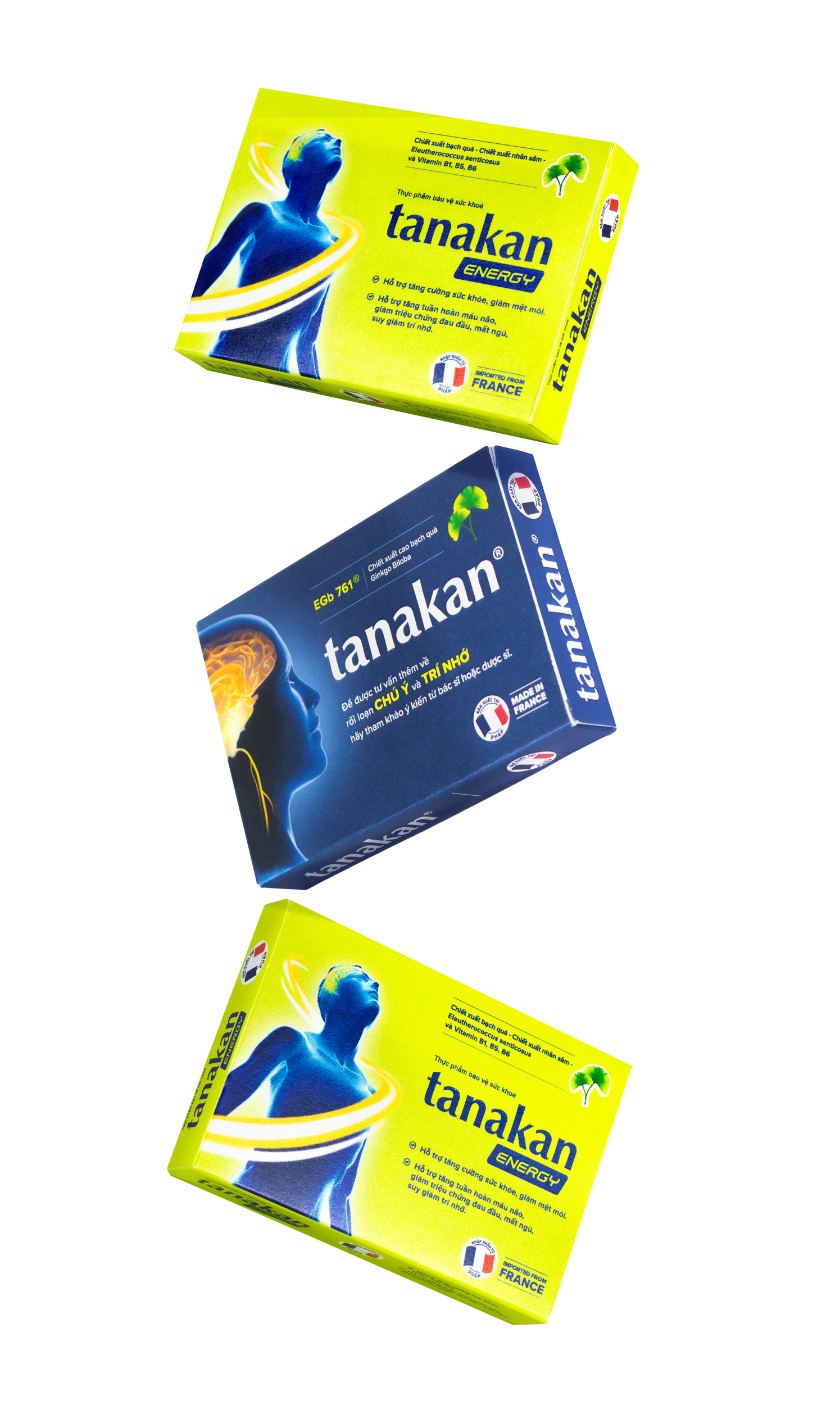 Tanakan 銀杏葉刺五加心腦健康藥品保健品包裝設計