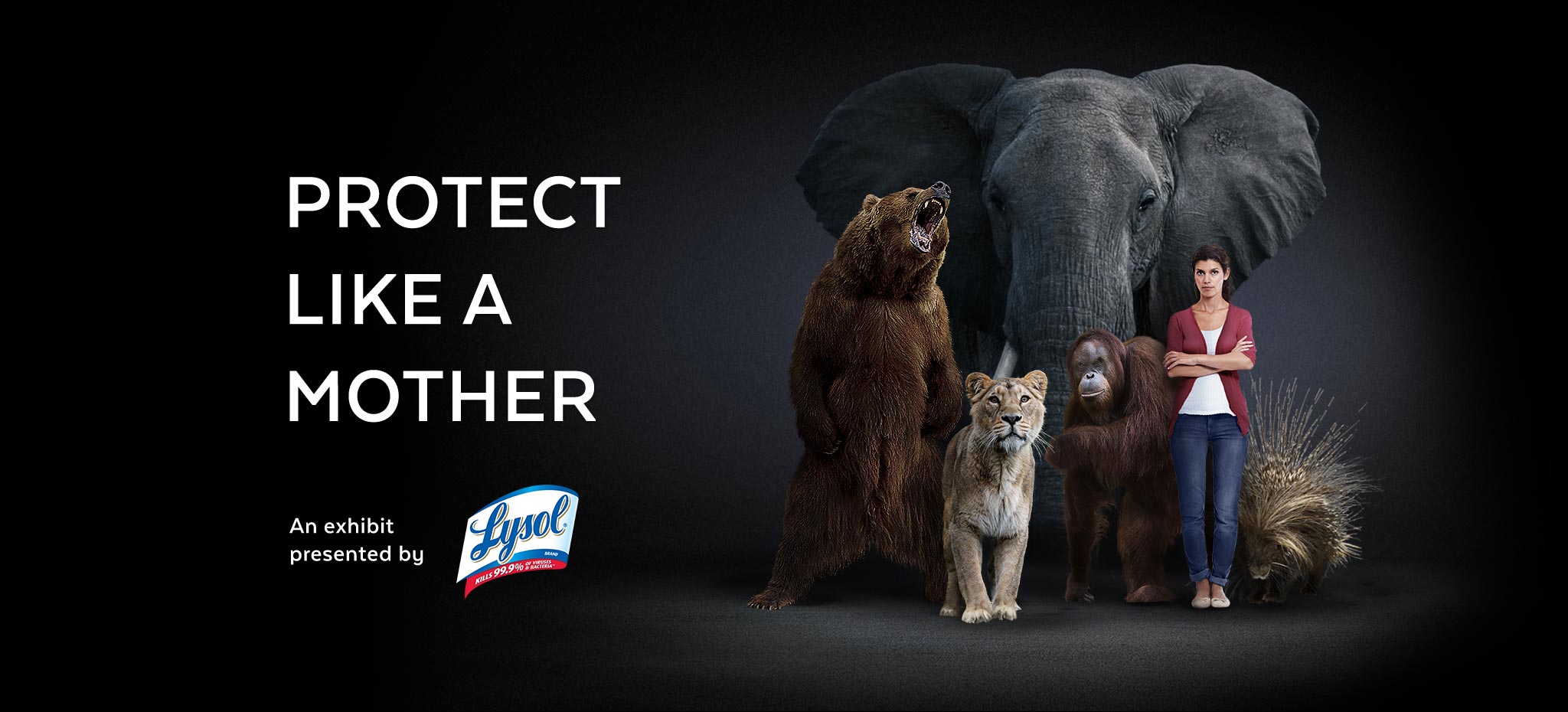 Lysol 消毒劑像母親一樣保護(hù)廣告策劃 Lysol 消毒劑像母親一樣保護(hù)廣告策劃