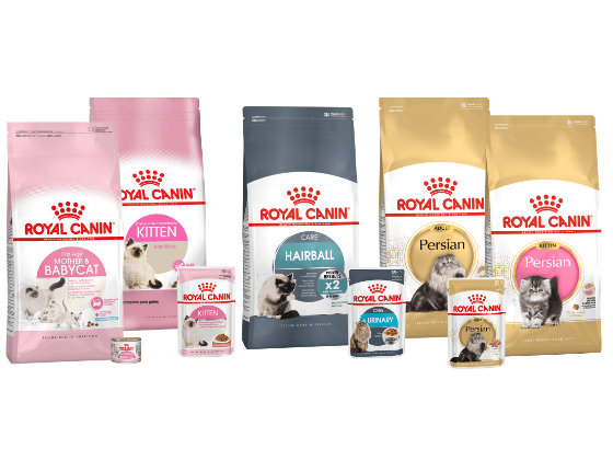 Royal Canin皇家犬業(yè)：針對每種醫(yī)療狀況的產(chǎn)品