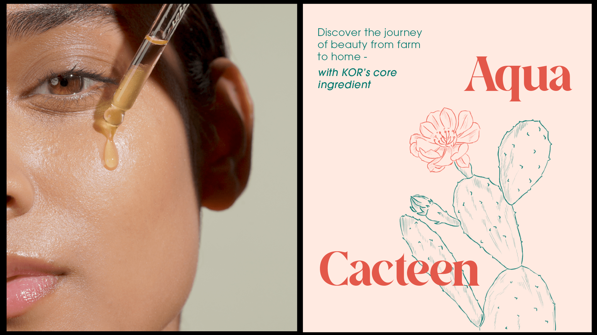 KOR皮膚補(bǔ)水革命性化妝護(hù)膚品護(hù)理品牌字體logo設(shè)計(jì)與藍(lán)綠色包裝設(shè)計(jì)