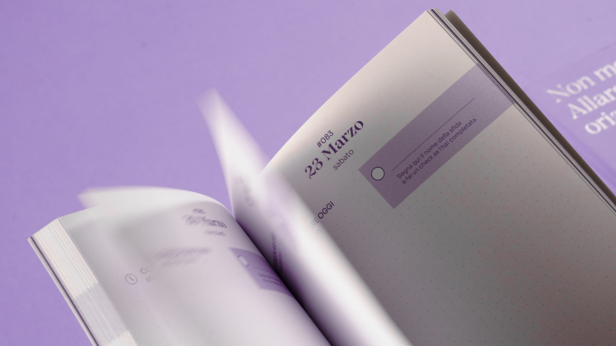 Efficacemente 教育課程套件禮盒包裝設(shè)計(jì)平面冊(cè)子設(shè)計(jì),紫色幾何線條風(fēng)格 Efficacemente 教育課程套件禮盒包裝設(shè)計(jì)平面冊(cè)子設(shè)計(jì),紫色幾何線條風(fēng)格