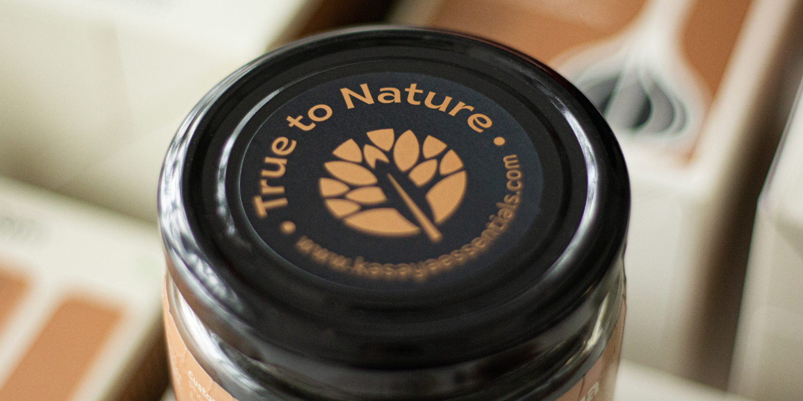 Kasaya發(fā)酵黑蒜健康養(yǎng)生滋補(bǔ)品品牌創(chuàng)建-命名-logo-包裝設(shè)計(jì)