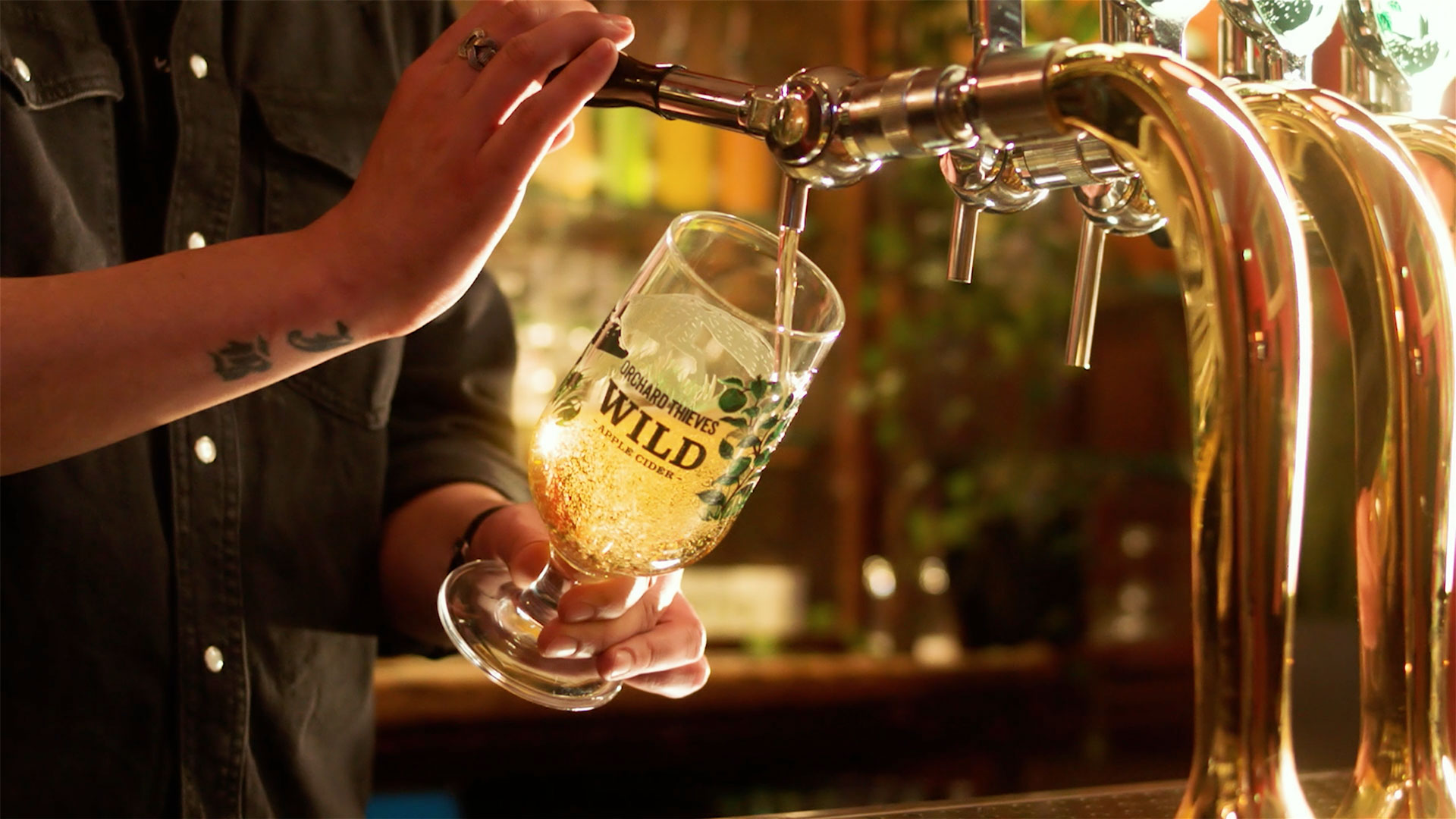 “果園小偷”野生蘋果酒品牌創(chuàng)建策劃狐貍插畫包裝設計電視廣告及宣傳推廣