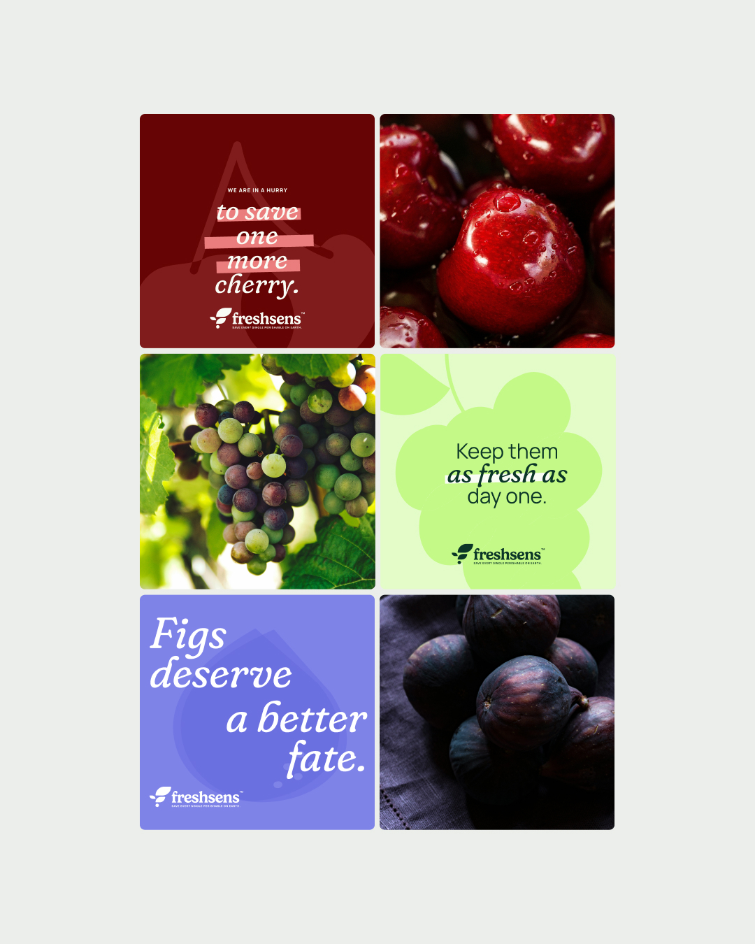 FreshSens農(nóng)業(yè)科技公司logo設(shè)計(jì)葉子元素 FreshSens農(nóng)業(yè)科技公司logo設(shè)計(jì)葉子元素