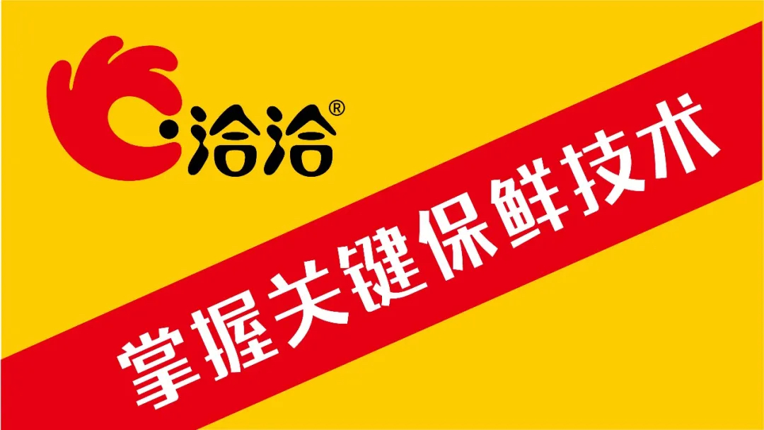 洽洽條子設(shè)計(jì)