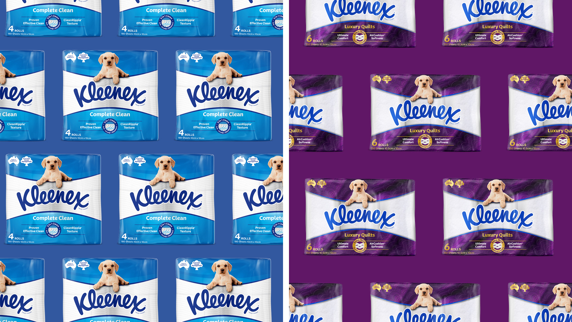 Kleenex 衛(wèi)生紙包裝設(shè)計拉布拉多小狗元素