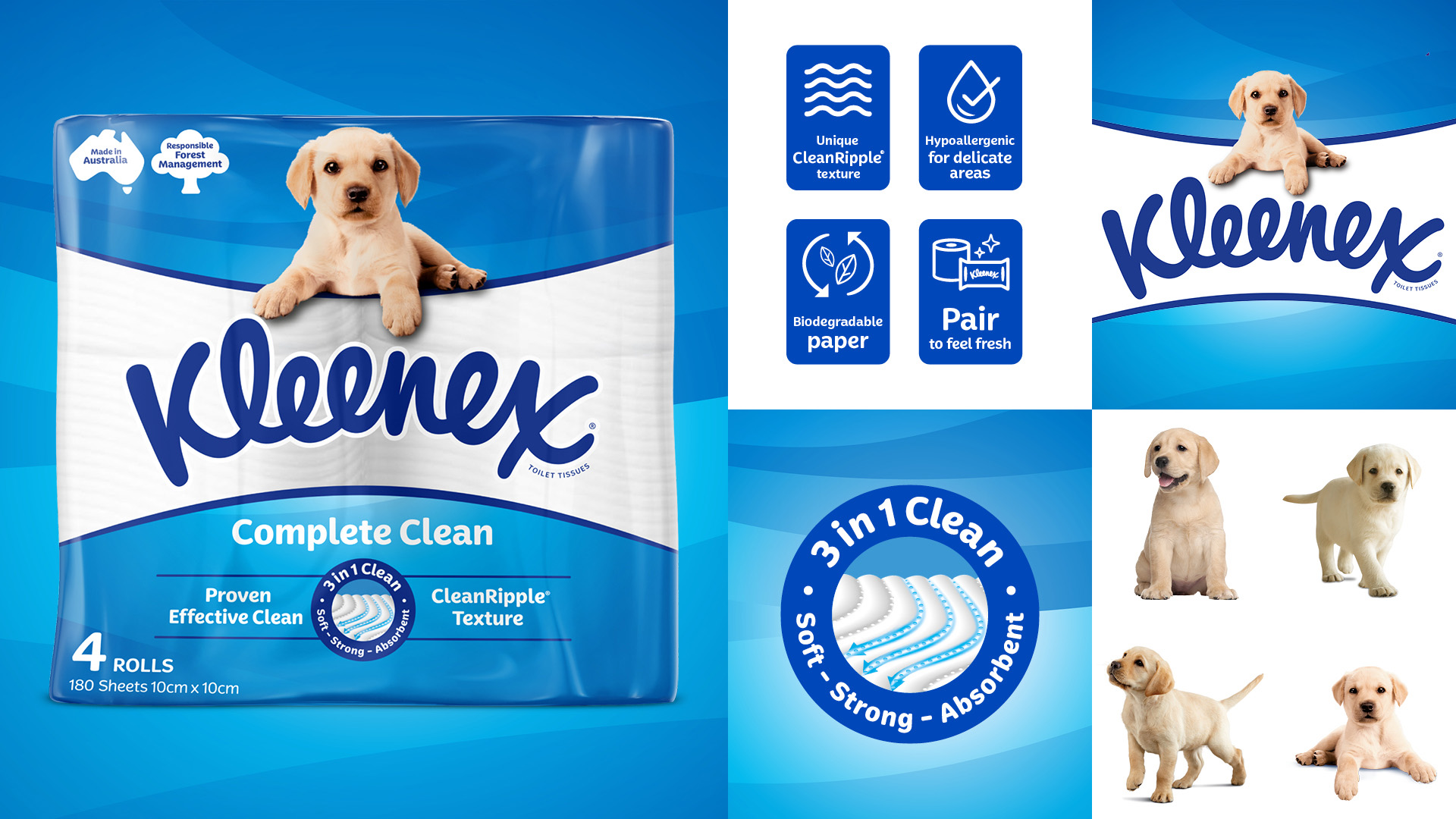 Kleenex 衛(wèi)生紙包裝設(shè)計拉布拉多小狗元素