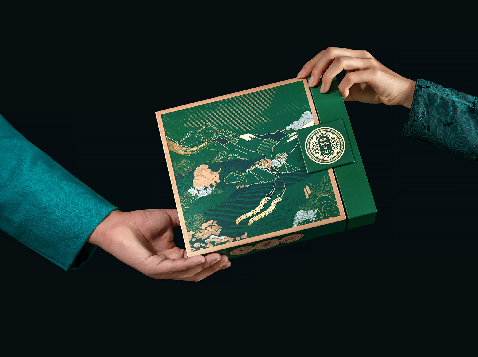 喜馬拉雅山冬蟲(chóng)夏草套裝禮品禮盒包裝設(shè)計(jì)“自然山脈風(fēng)景”插畫(huà)