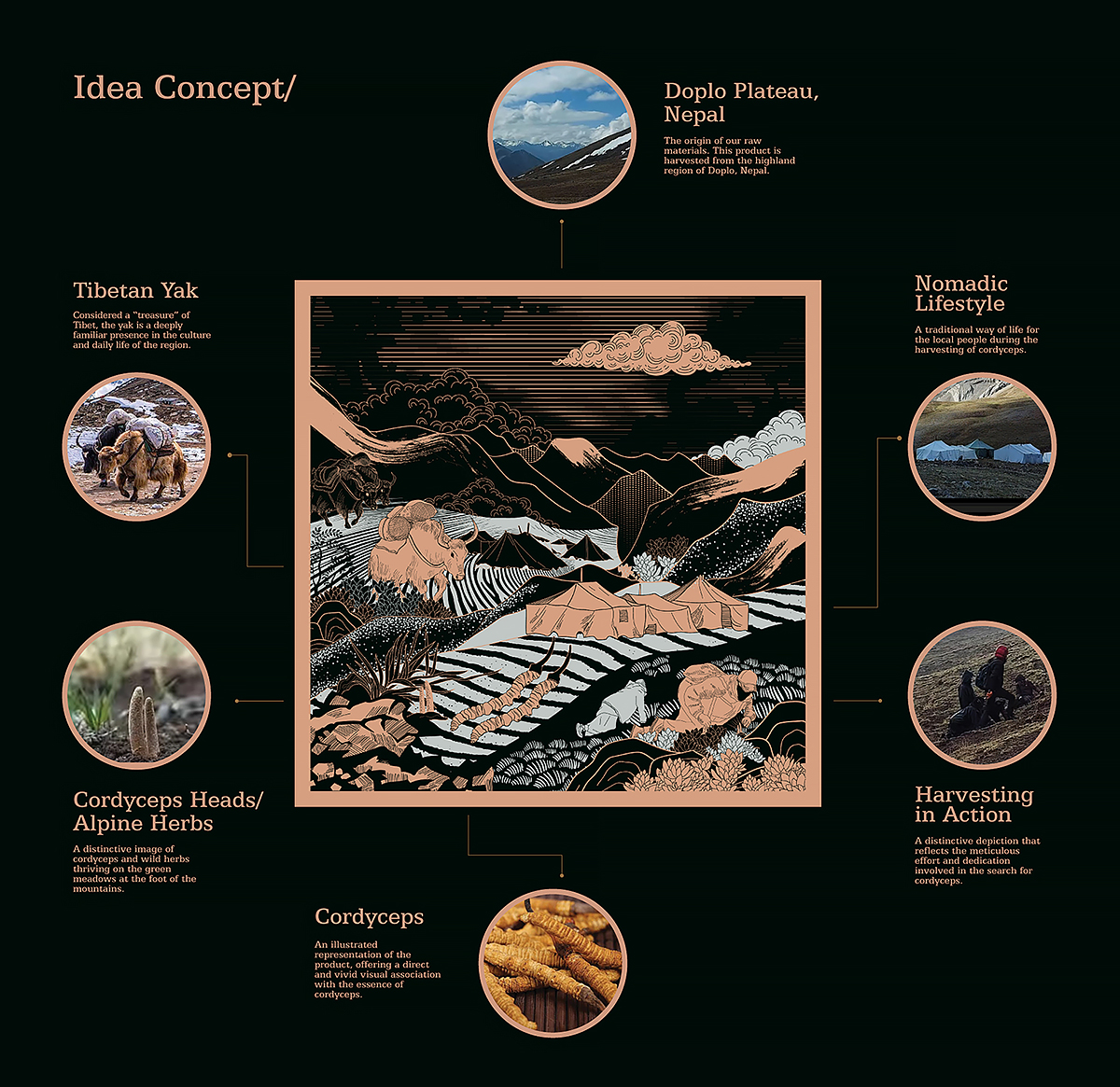 喜馬拉雅山冬蟲夏草套裝禮品禮盒包裝設(shè)計(jì)“自然山脈風(fēng)景”插畫