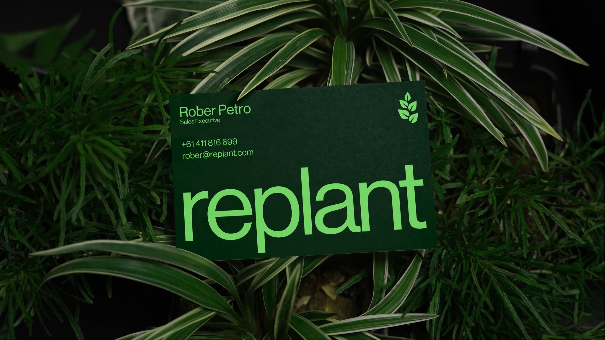 Replant 有機再生農(nóng)業(yè)技術(shù)品牌形象logo設(shè)計vi設(shè)計“自然葉子”