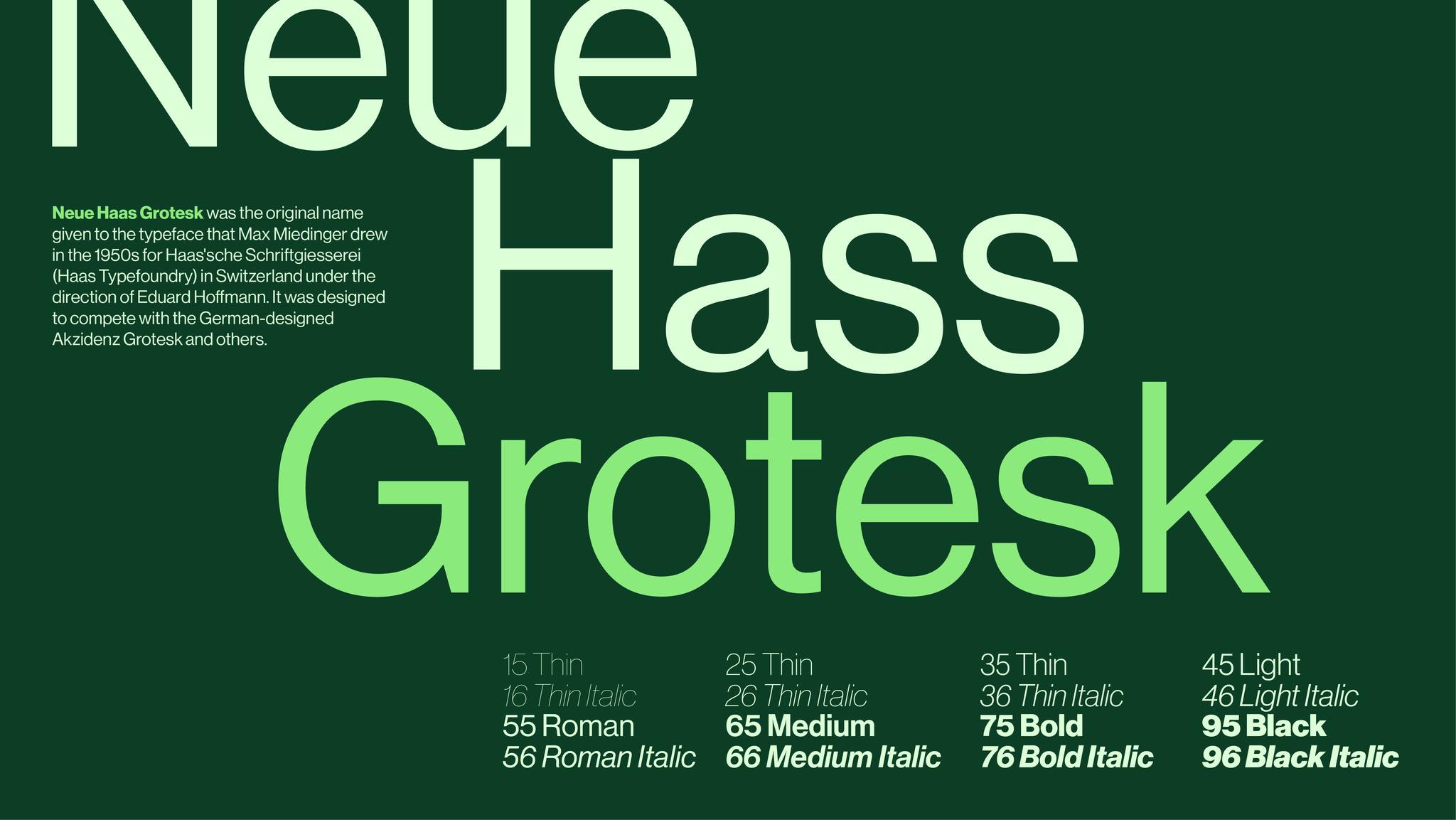 Replant 有機再生農(nóng)業(yè)技術(shù)品牌形象logo設(shè)計vi設(shè)計“自然葉子”