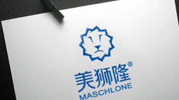 美獅隆門窗建材品牌標志設(shè)計VI設(shè)計