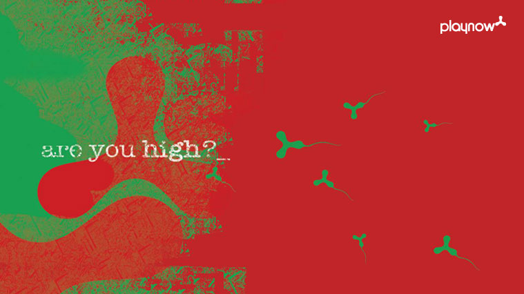 PLAYNOW運動服飾運動鞋品牌定位與品牌全案策劃設計