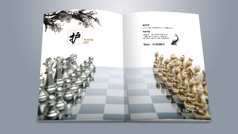 實(shí)則硬小微企業(yè)金融服務(wù)企業(yè)宣傳畫冊設(shè)計(jì)-上海宣傳冊設(shè)計(jì)公司5