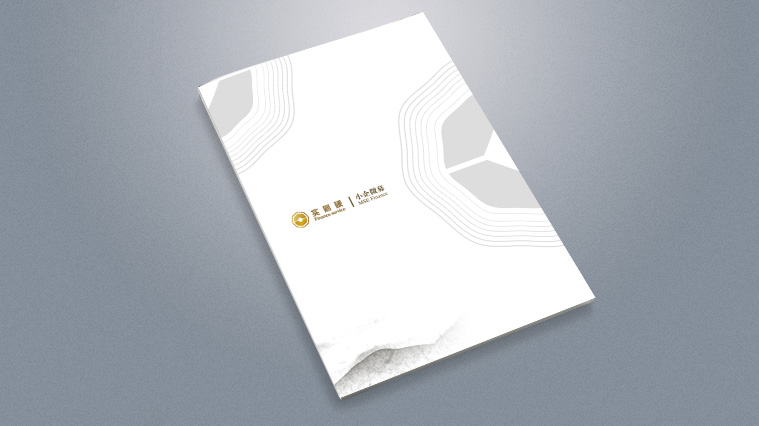 實(shí)則硬小微企業(yè)金融服務(wù)企業(yè)宣傳畫冊設(shè)計(jì)-上海宣傳冊設(shè)計(jì)公司1