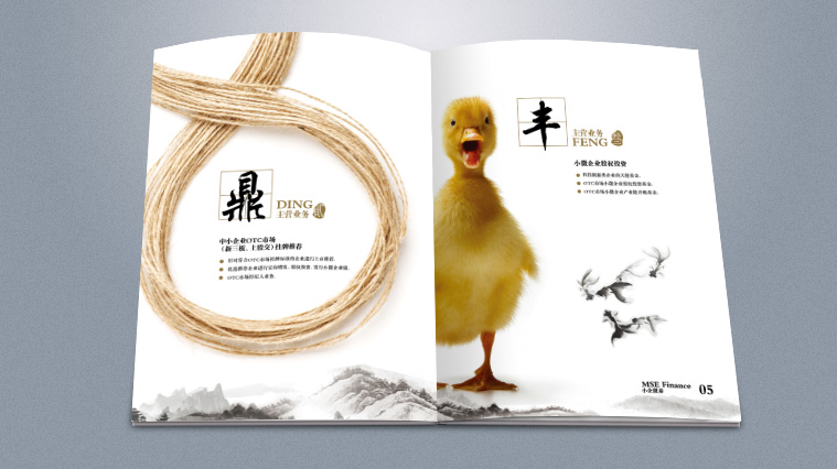 實(shí)則硬小微企業(yè)金融服務(wù)企業(yè)宣傳畫冊設(shè)計(jì)-上海宣傳冊設(shè)計(jì)公司4