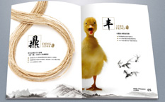 實(shí)則硬小微企業(yè)金融服務(wù)企業(yè)宣傳畫冊(cè)設(shè)計(jì)-上海宣傳冊(cè)設(shè)計(jì)公司