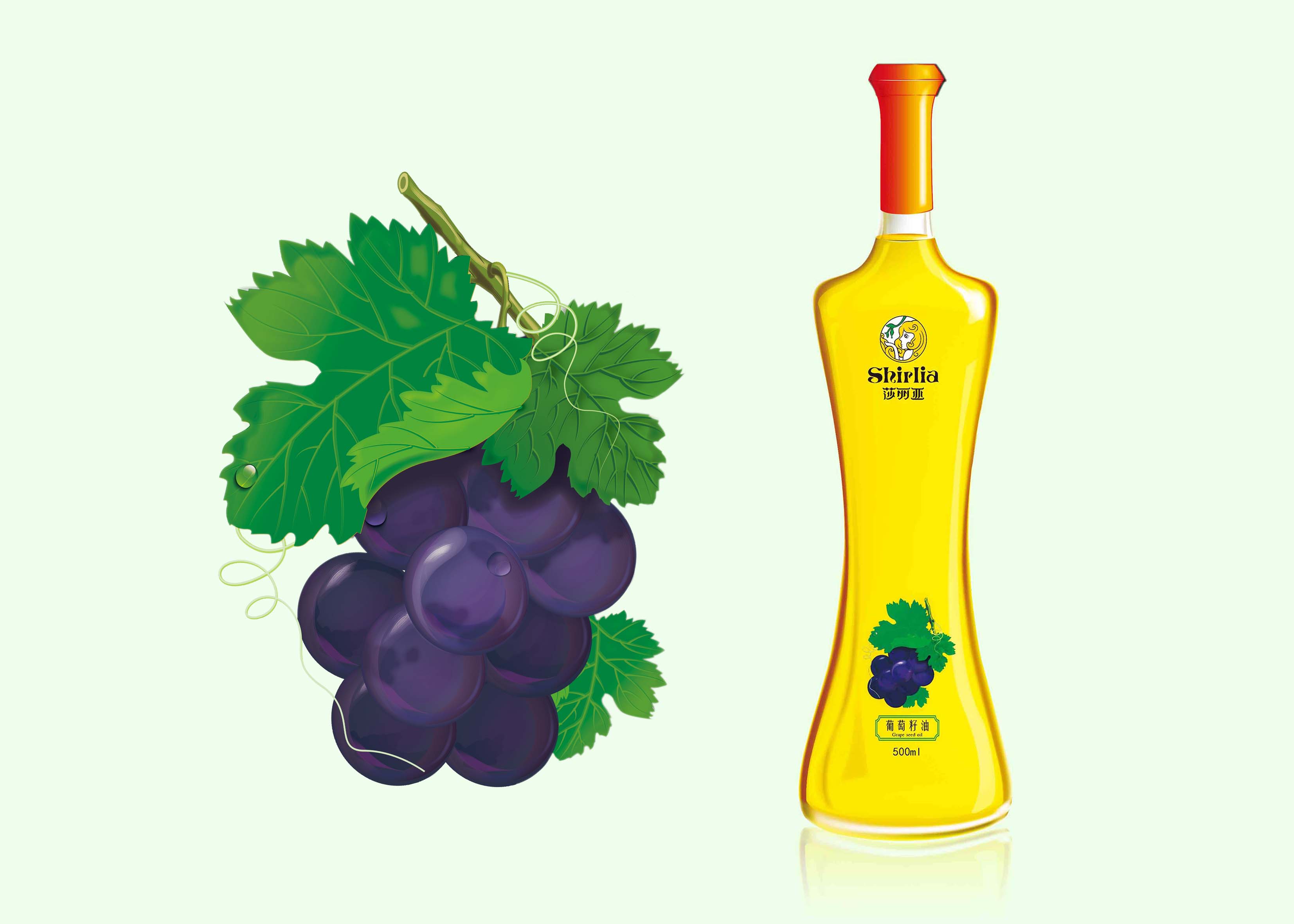 Shirlia 莎麗亞食用油瓶形設計山茶油亞麻籽油葡萄籽包裝設計禮盒包裝設計-上海包裝設計公司