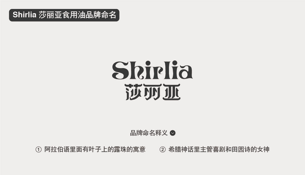 品牌命名商標(biāo)起名-尚略上海品牌策劃公司