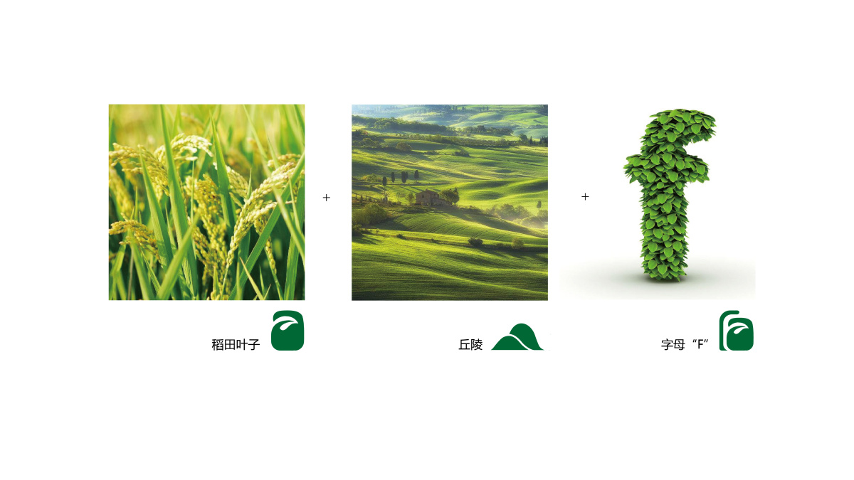 山東富蕾詩農產品農業(yè)品牌logo設計VI設計