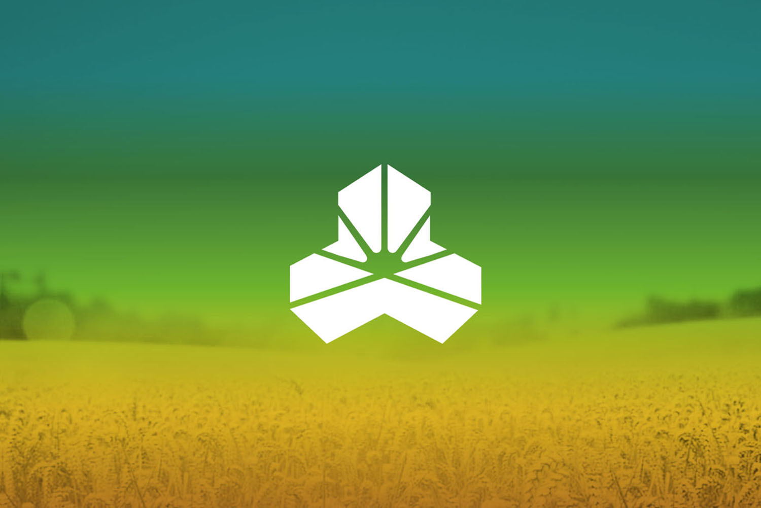 仁華農(nóng)業(yè)公司品牌logo設(shè)計VI設(shè)計