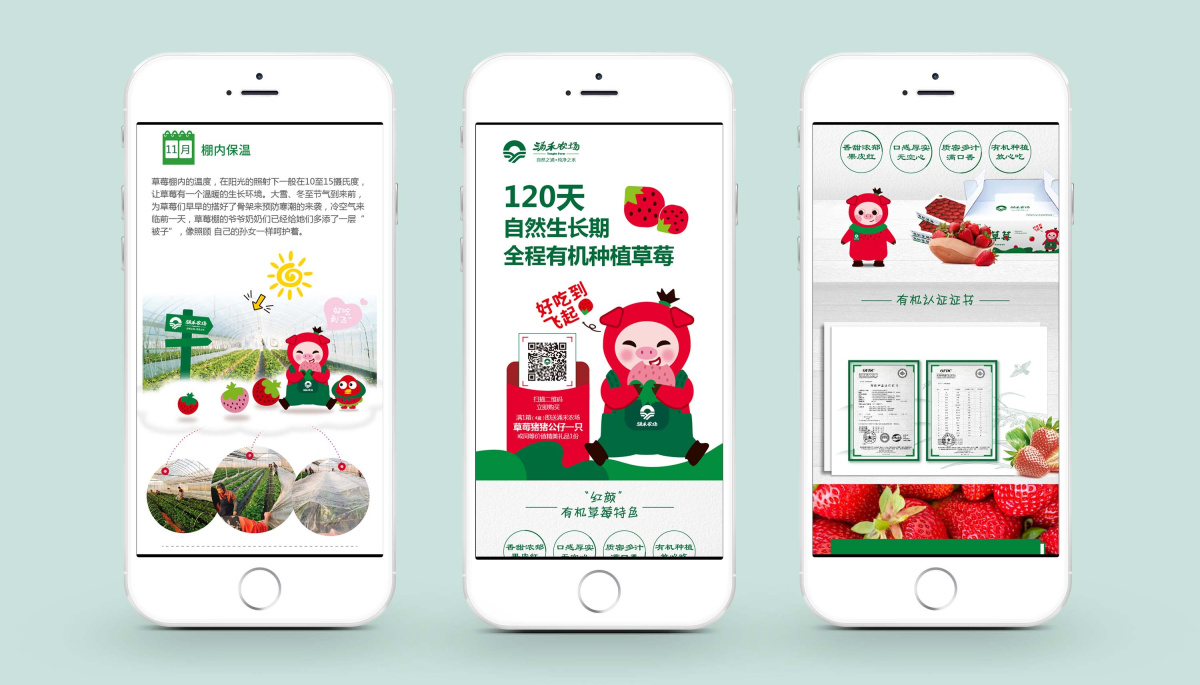 涌禾農場有機草莓品牌全案策劃設計“草莓豬”IP吉祥物設計