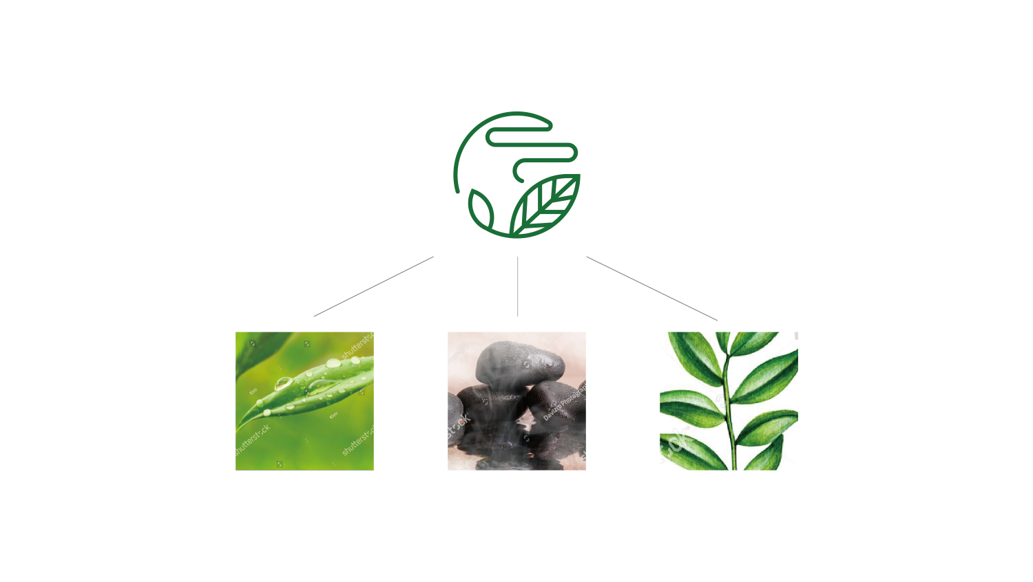 北京熏和堂中草藥熏蒸液熏香品牌命名logo設(shè)計(jì)vi設(shè)計(jì)包裝設(shè)計(jì)