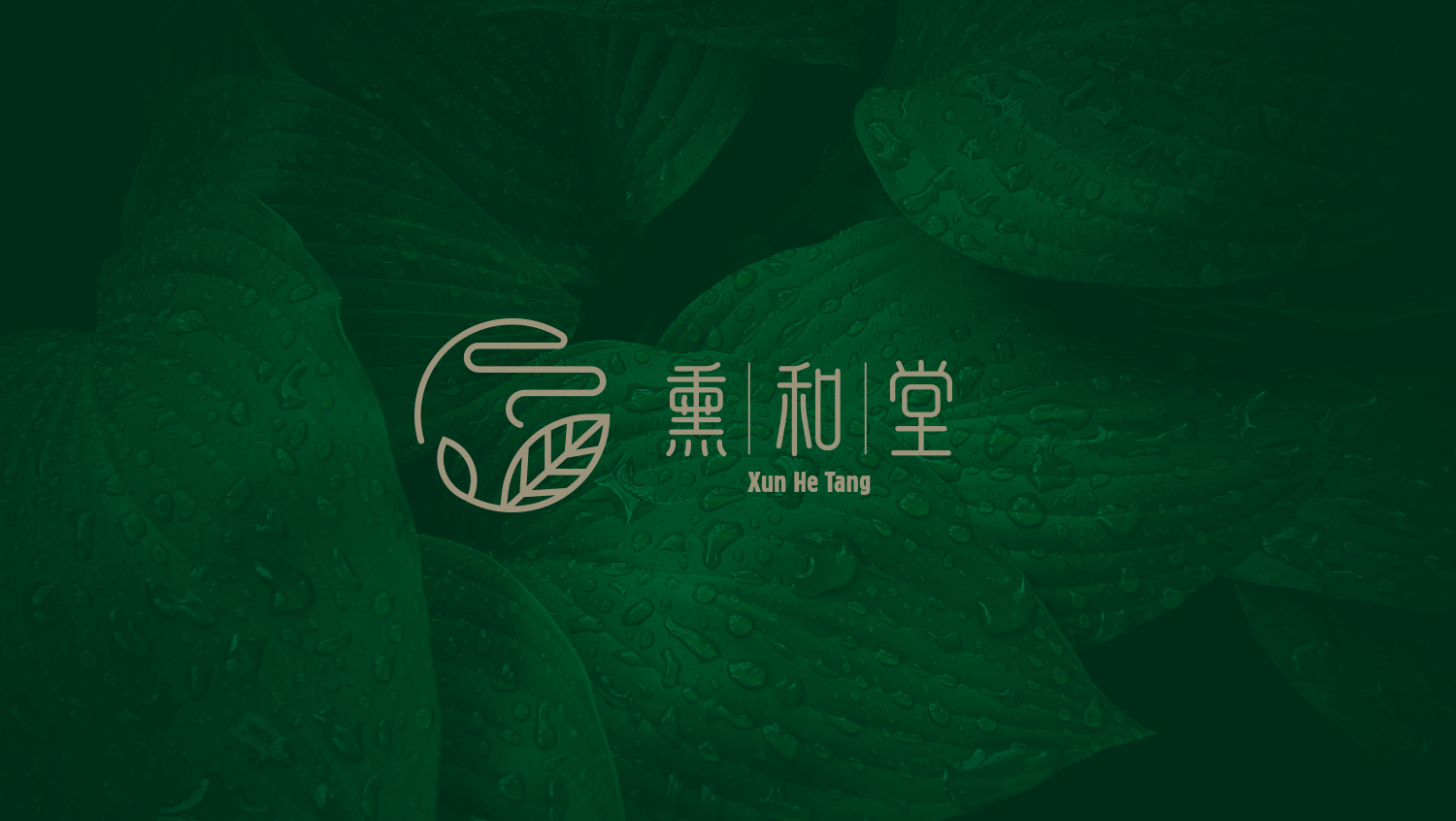 北京熏和堂中草藥熏蒸液熏香品牌命名logo設(shè)計(jì)vi設(shè)計(jì)包裝設(shè)計(jì)