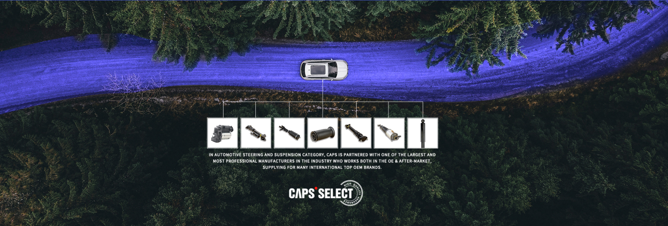 CAPS卡佩斯優(yōu)選汽車減震器阿里巴巴國際站電商店鋪網(wǎng)站設(shè)計